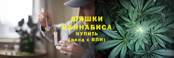 мдпв Магас