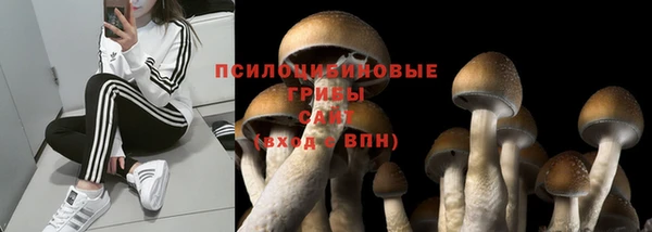 a pvp Новодвинск