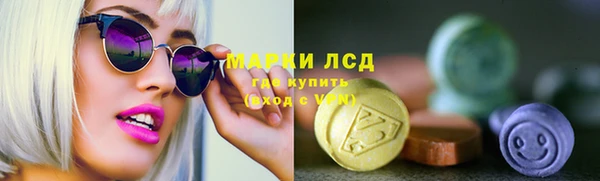 мдпв Магас