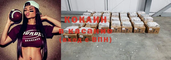 мдпв Магас