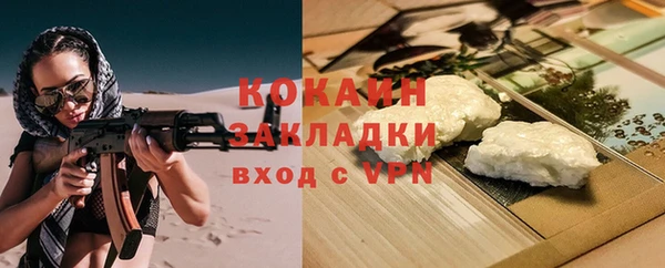 мдпв Магас