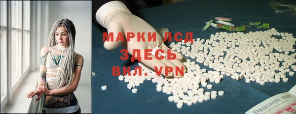 мдпв Магас